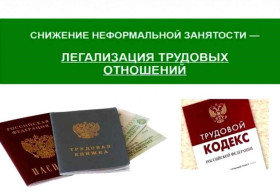 Противодействие нелегальной занятости.